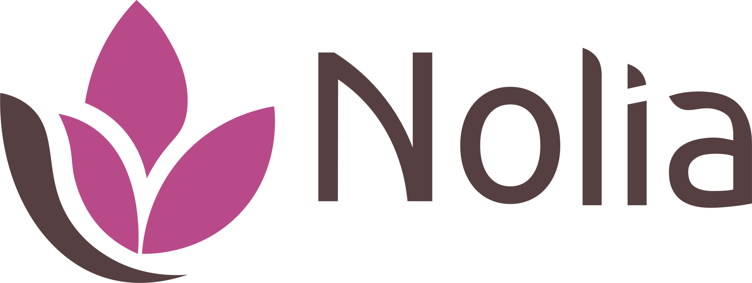NOLIA лого